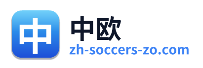 中欧 Logo